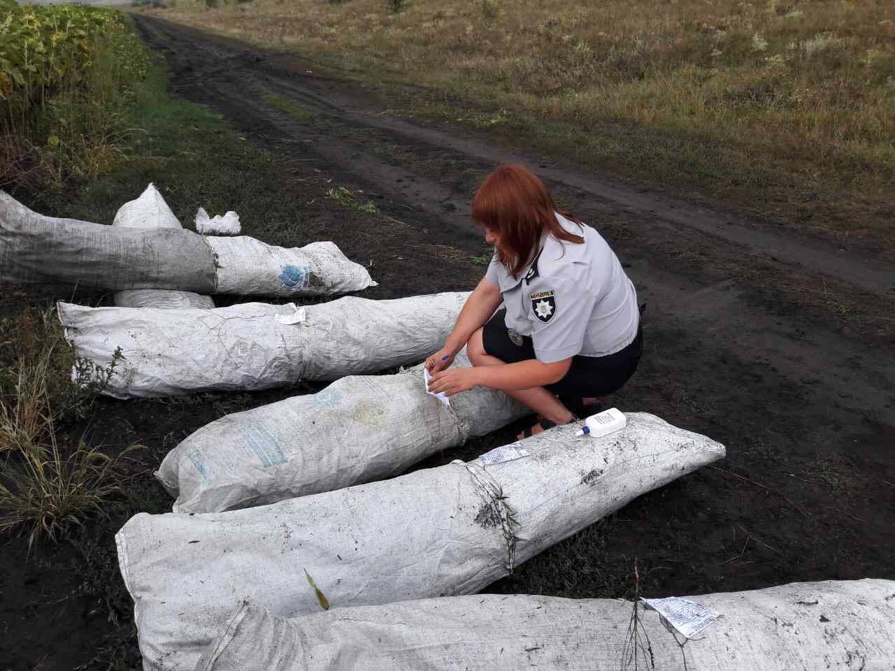 Во Врадиевском районе сами выросли почти 2 тыс. кустов конопли