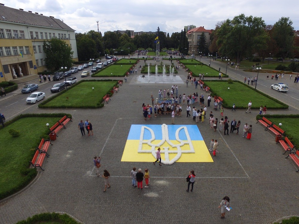 На Закарпатье в честь Дня Независимости вырастили 7-метровый тризуб из хризантем 6