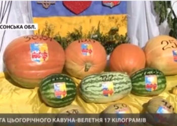 В Голой Пристани провели арбузный фестиваль – с “конкурсом красоты” и арбузной текилой