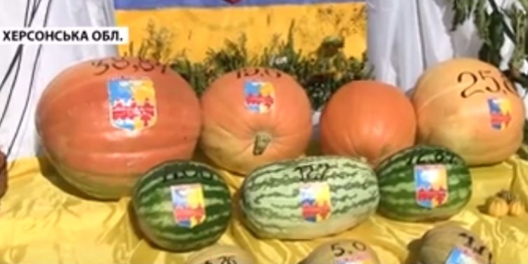 В Голой Пристани провели арбузный фестиваль – с “конкурсом красоты” и арбузной текилой