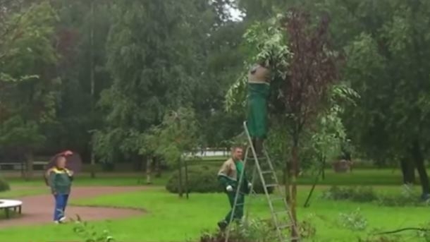 Озеленение по-русски. К сухим деревьям рябины примотали зеленые ветки ивы. Скотчем