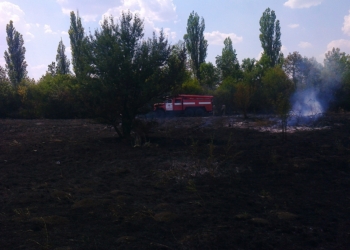 На Николаевщине за минувшие сутки зарегистрировано рекордное количество пожаров. В одном из случаев спасатели подозревают поджог