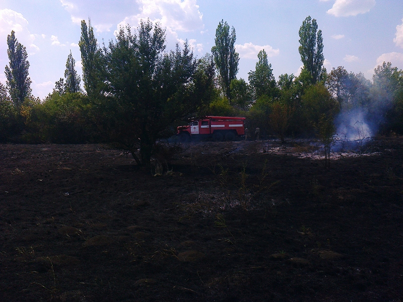 На Николаевщине за минувшие сутки зарегистрировано рекордное количество пожаров. В одном из случаев спасатели подозревают поджог 7