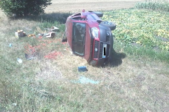 На Николаевщине в ДТП травмированы трое граждан, среди которых 7-летний ребенок