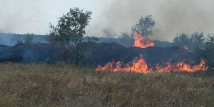 Снова горим! В Витовской районе Николаевщины спасатели тушат сухую траву на значительной площади. Жилые дома «отбить» удалось