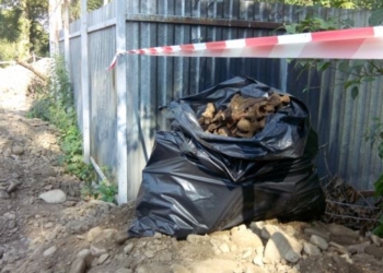 В Ивано-Франковске нашли массовое захоронение жертв НКВД