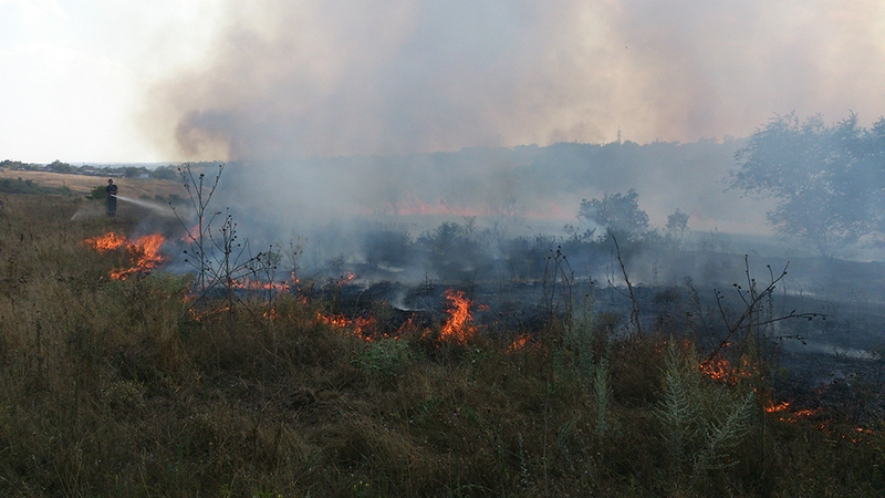 На Николаевщине за минувшие сутки зарегистрировано рекордное количество пожаров. В одном из случаев спасатели подозревают поджог 1
