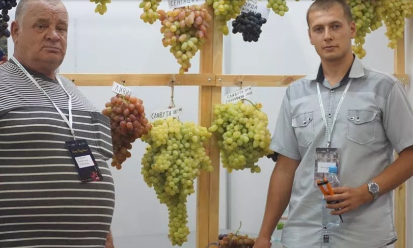21-летний николаевский виноградарь взял сразу 2 награды на конкурсе «Чудо-виноград». Одну из них – за грону весом почти 7 кг 7