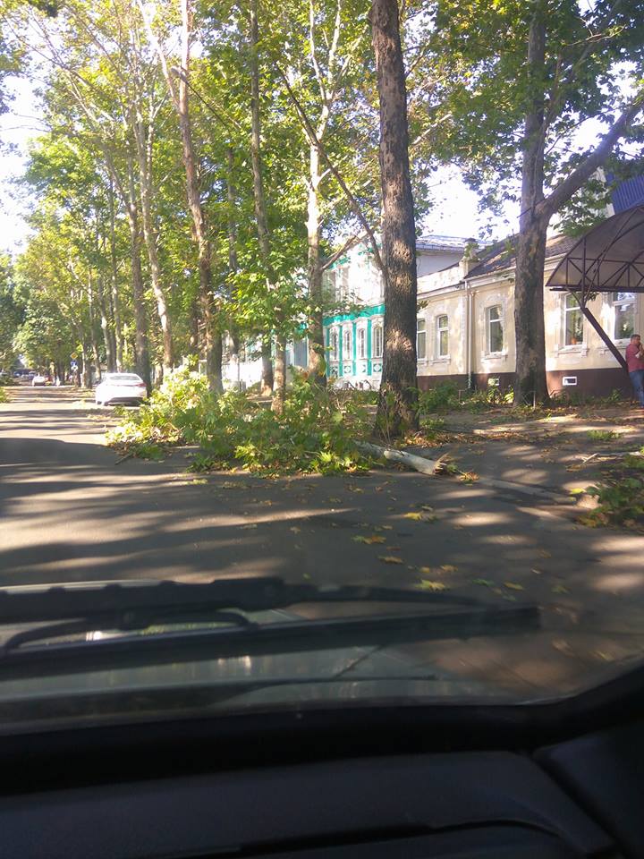 Николаев приходит в себя после бури: убирает сломанные ветки и чистит ливневки 8