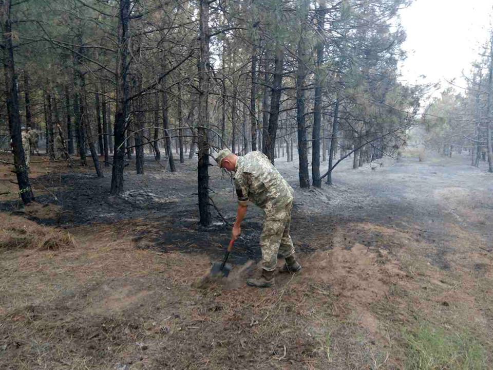 На Николаевщине продолжают тушить Новопетровский лес – подключили военных, помогают жители Новой Одессы. Огонь движется в сторону Николаева 9