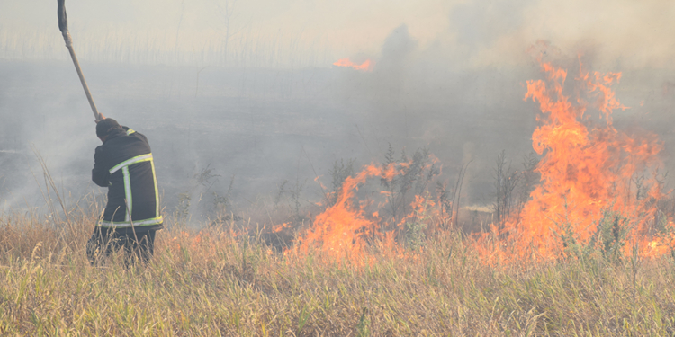 Лучше бы без таких «рекордов»: за сутки на Николаевщине огонь прошел 80 га открытой территории