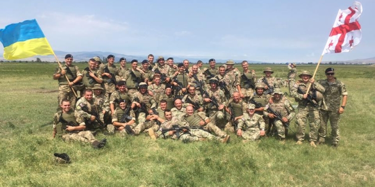 Многонациональные учения «Noble Partner-2017» в Грузии: николаевские морпехи вошли в грузинскую третью роту быстрого реагирования