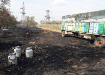 Под Пересадовкой горящая трава «сожгла» грузовик и 2 улика