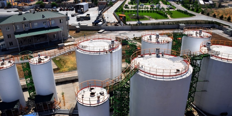 Николаевская «Ника-Тера» занялась перегрузкой растительных масел