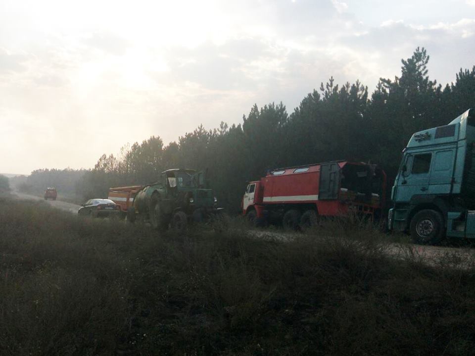 На Николаевщине продолжают тушить Новопетровский лес – подключили военных, помогают жители Новой Одессы. Огонь движется в сторону Николаева 1