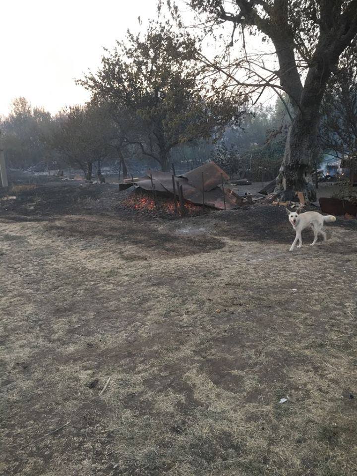 Вчера пожар уничтожил маленькое село на Донбассе 14