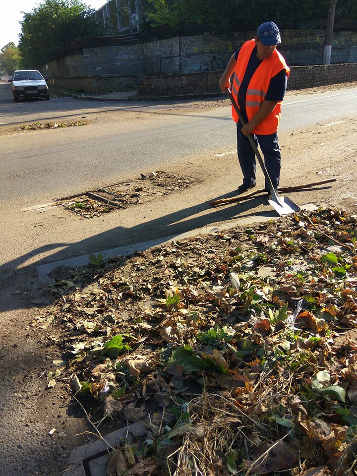 Николаев приходит в себя после бури: убирает сломанные ветки и чистит ливневки 14