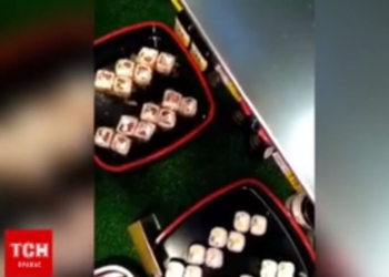 Мыши тоже едят суши. Прямо в киевском супермаркете