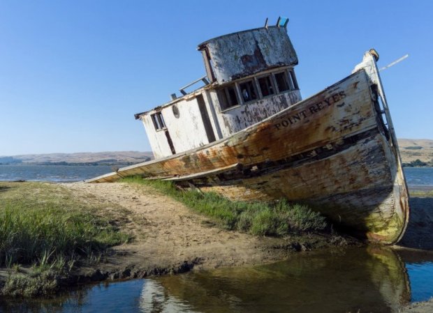 В сети опубликовали фото, которые были сделаны на камеру с 16 объективами 6