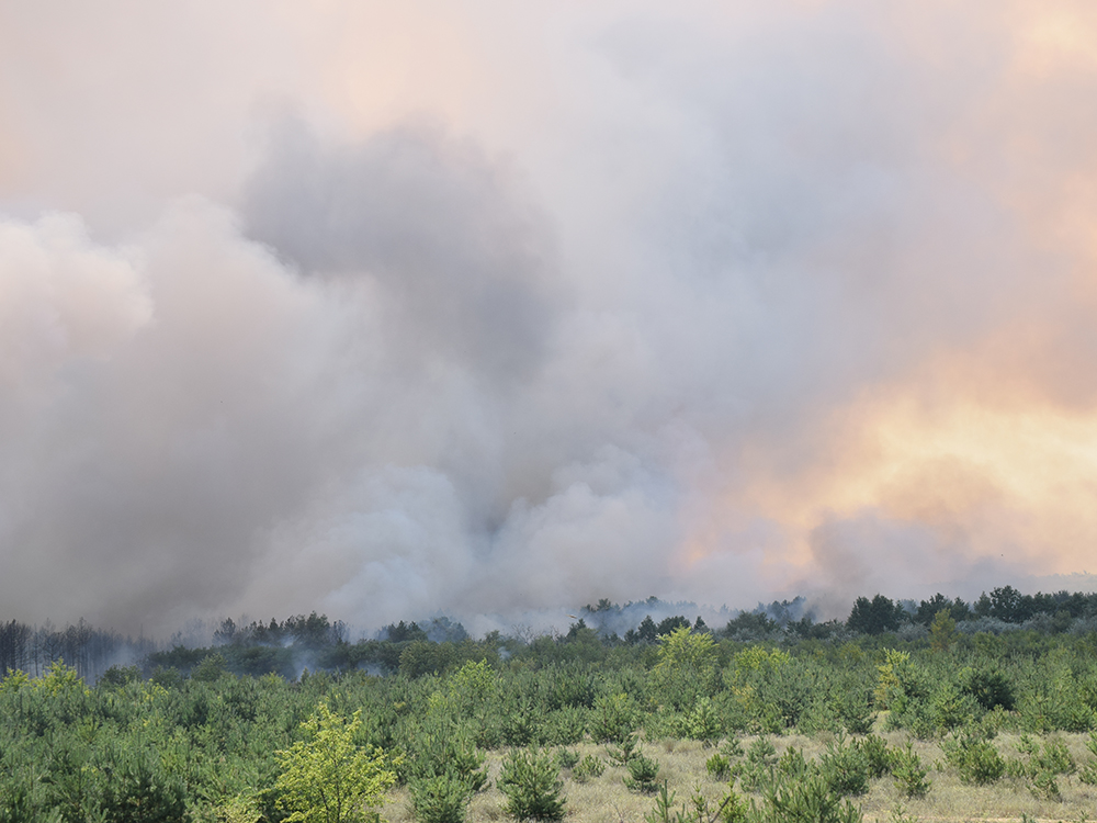 Площадь выгоревшего леса в Новоодесском районе - 80 га. Пожар потушили 1