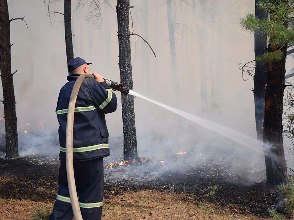 Площадь выгоревшего леса в Новоодесском районе - 80 га. Пожар потушили 9