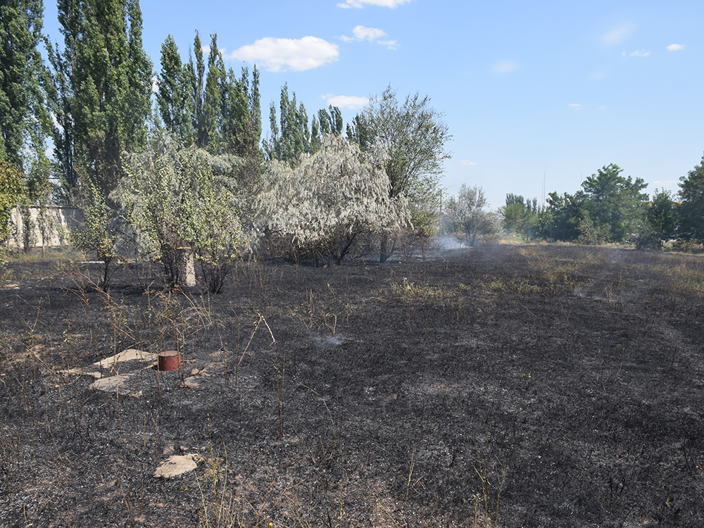 В Николаеве тушили масштабный пожар рядом с АЗС 3