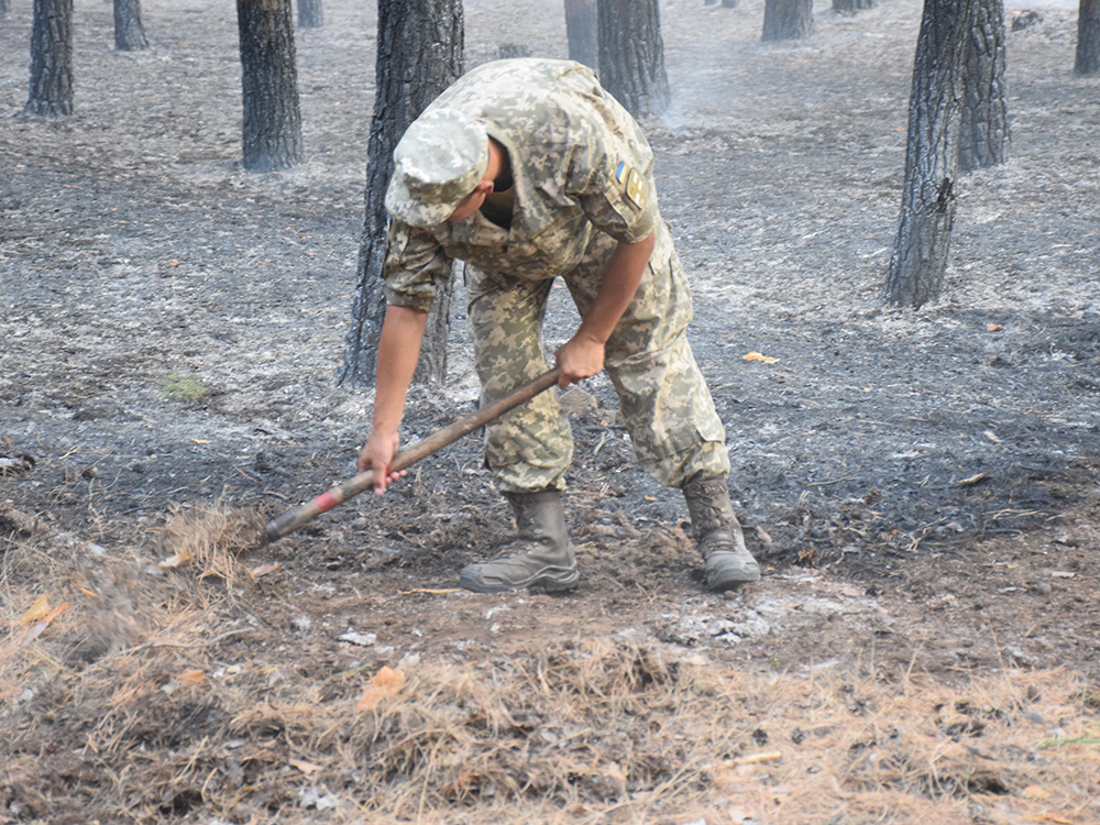 Площадь выгоревшего леса в Новоодесском районе - 80 га. Пожар потушили 5