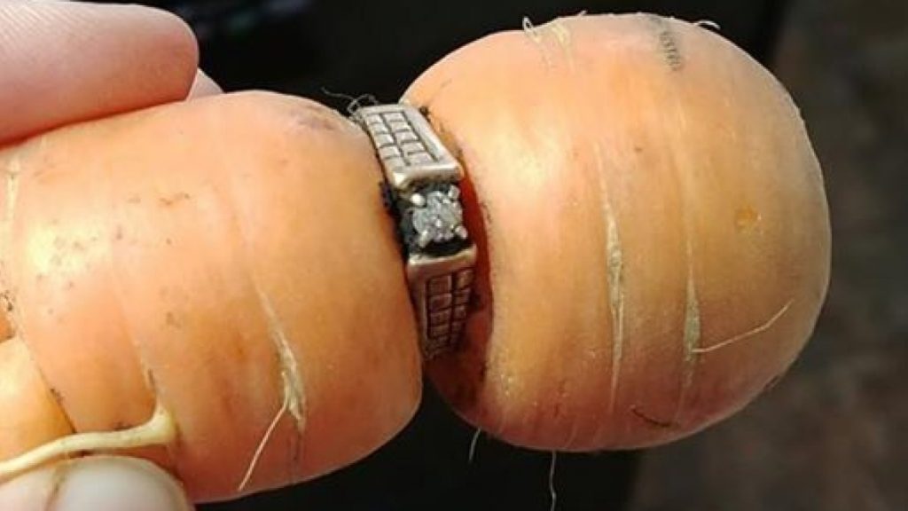 В Канаде к женщине вернулось давно потерянное кольцо - сквозь него проросла морковь 1