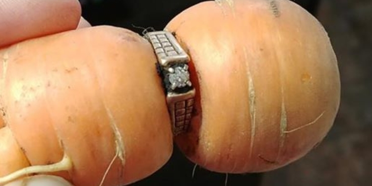 В Канаде к женщине вернулось давно потерянное кольцо – сквозь него проросла морковь