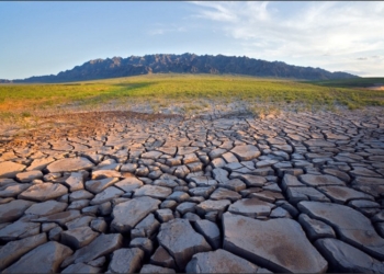 Ученые: человечество имеет только 5% шанс избежать климатической катастрофы