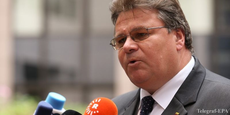 Литва просит Украину дать Саакашвили шанс и не ограничивать права оппозиции 1