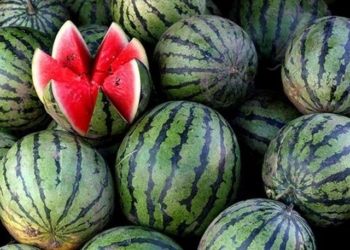 Спрос на арбузы упал из-за роста цен до исторического максимума