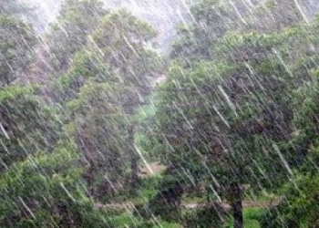 Николаеву сулят сегодня грозы и шквалы