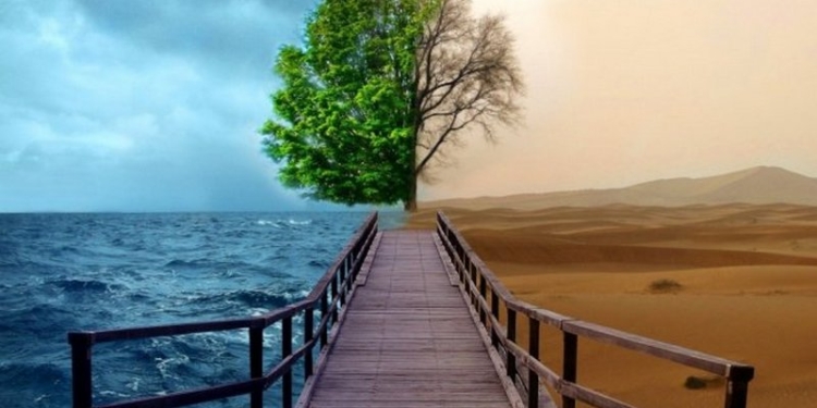 Госдепартамент США официально уведомил ООН о выходе из Парижского климатического соглашения