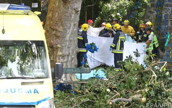 В Португалии огромное дерево упало на участников религиозного фестиваля - 13 погибших 8