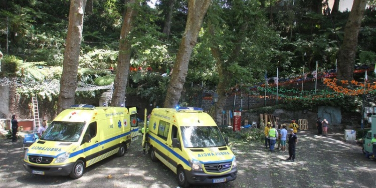 В Португалии огромное дерево упало на участников религиозного фестиваля – 13 погибших