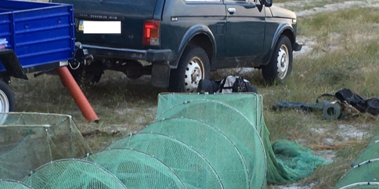 Крабов удалось спасти. Два гражданина РФ и украинец набраконьерничали на Кинбурнской косе на 5 млн.грн.