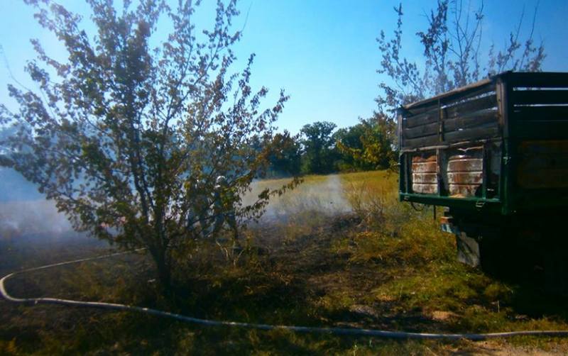 На Николаевщине от горящей сухой травы на обочине вспыхнул грузовик 1