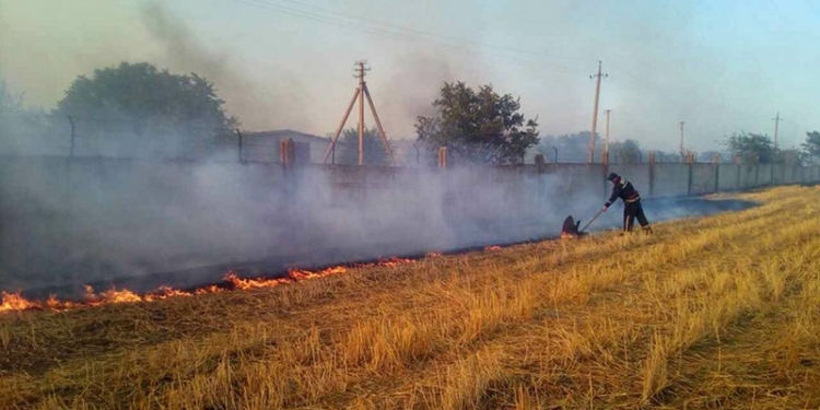Под Николаевом степной пожар захватил территорию птицефабрики