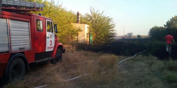 Под Николаевом степной пожар захватил территорию птицефабрики