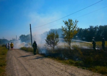На Николаевщине от горящей сухой травы на обочине вспыхнул грузовик