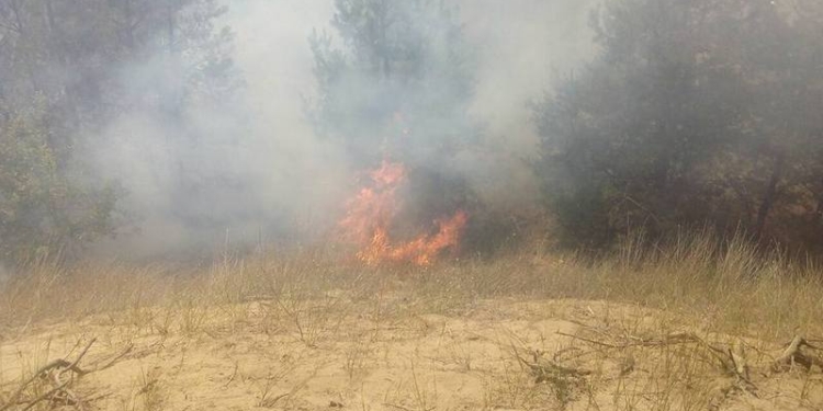В Новоодесском районе на Николаевщине опять горит лес