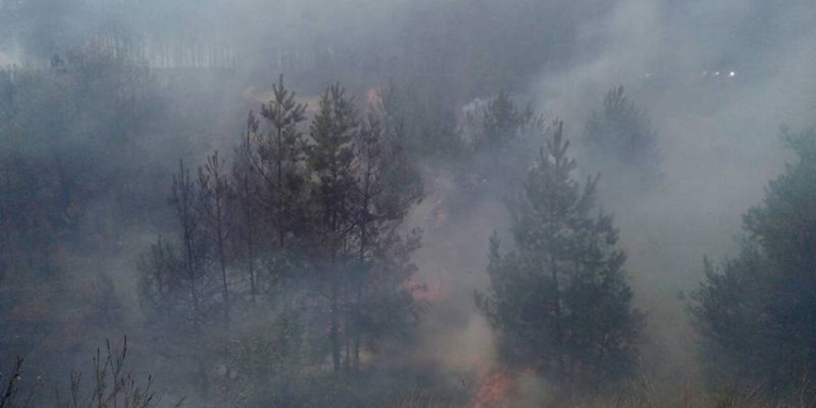 В Новоодесском районе на Николаевщине опять горит лес