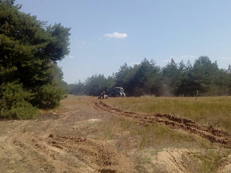 В Новоодесском районе на Николаевщине опять горит лес 4