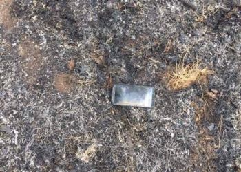 Полиция задержала виновников вчерашнего масштабного лесного пожара на Николаевщине. Поджигатели говорят, что просто праздновали день рождения