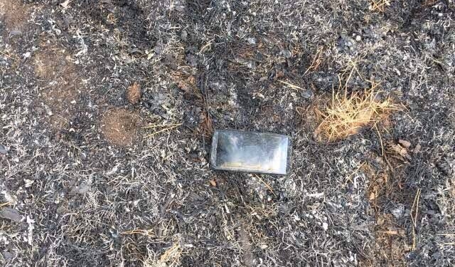 Полиция задержала виновников вчерашнего масштабного лесного пожара на Николаевщине. Поджигатели говорят, что просто праздновали день рождения