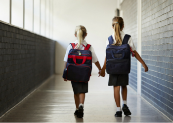 Рейтинг школ Николаевской области по результатам ВНО-2017 (ИНФОГРАФИКА)