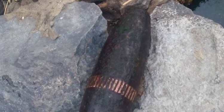 Пиротехники обезвредили снаряд, найденный у села Мигия на Николаевщине