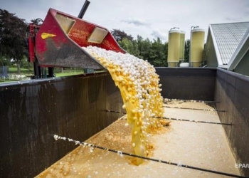 Зараженные химикатами яйца нашли еще в двух странах Европы