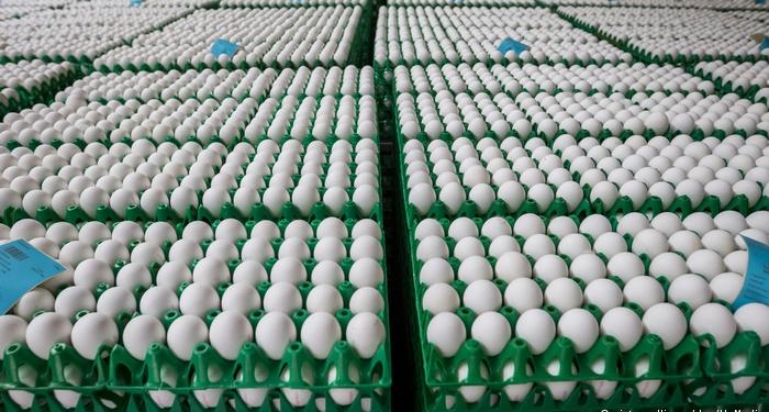 Яйца с фипронилом нашли теперь в Румынии и Словакии